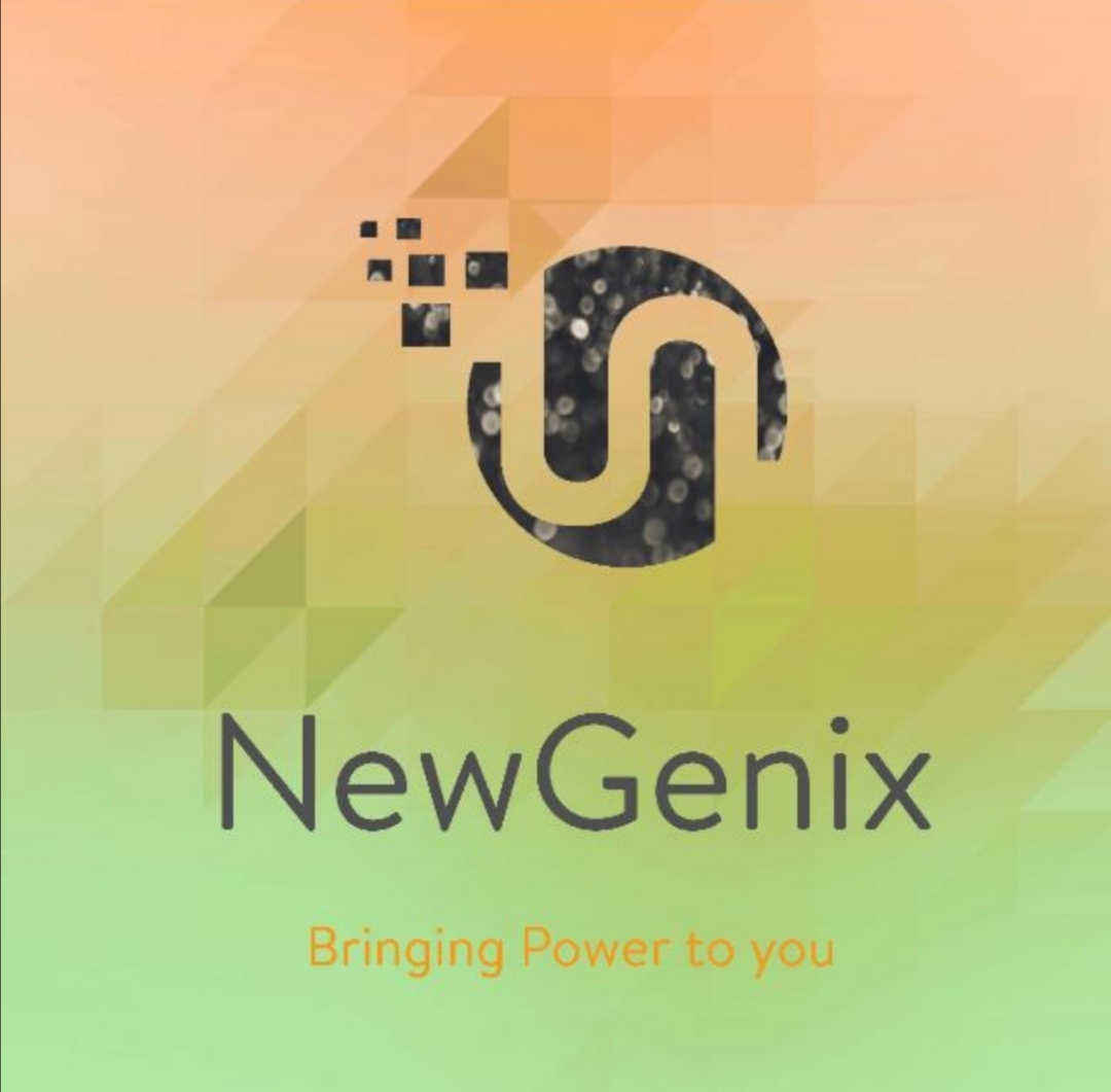 NEWGENIXS SOLUTIONS PVT LTD